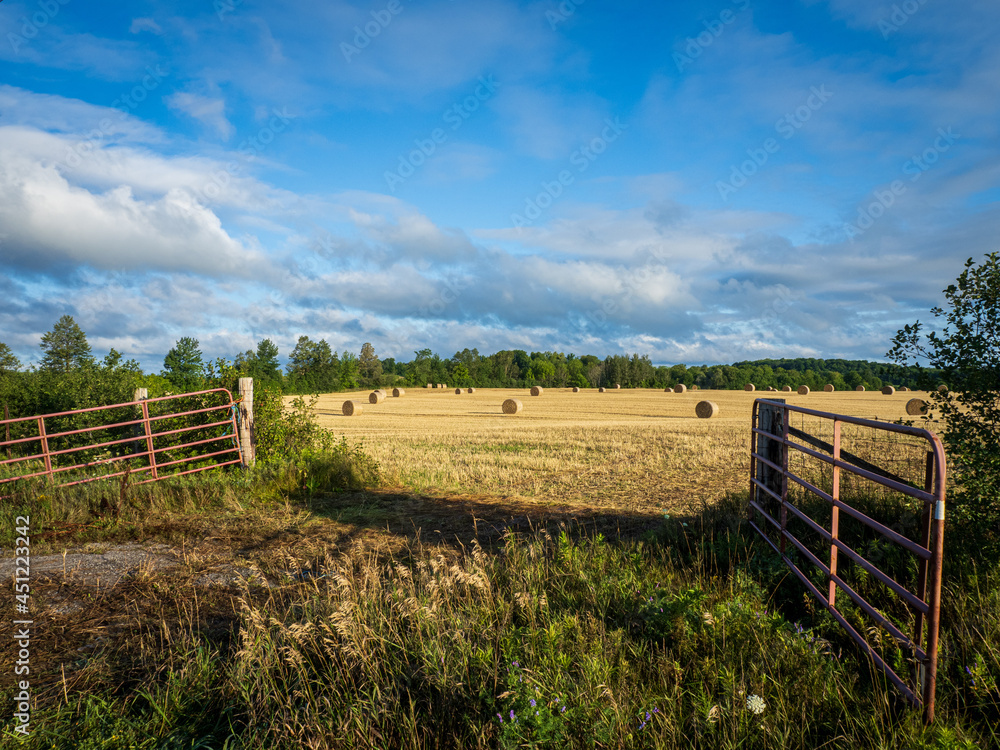 Fototapeta premium hay field at sunrise