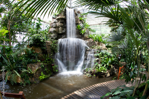 Waterfall in garden.