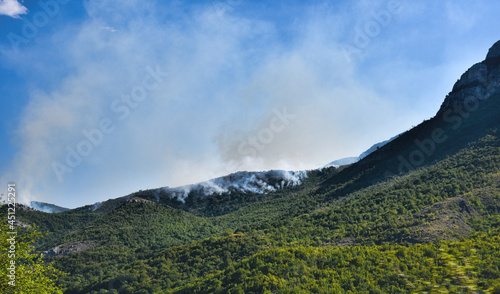 Photography of conflagration in mountain forest