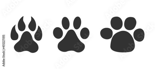 Animal tracks. Animal paw icon. Animal footprints form road  vector.