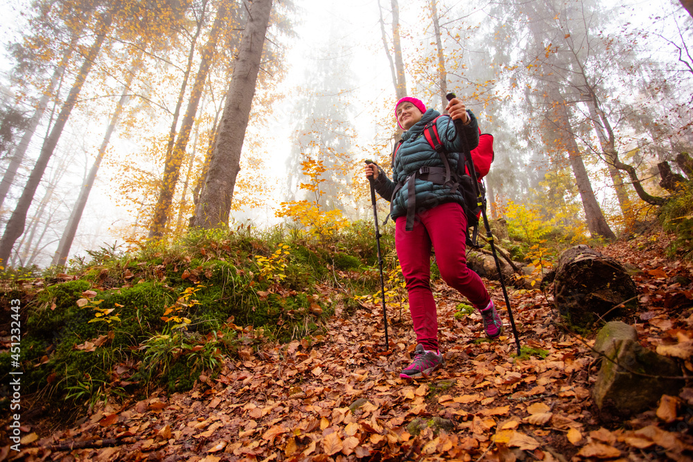 Active woman hiking in beautiful fall forest