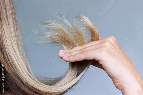 Konstfotografi Close-up of the dry split ends in the hand of woman with blonde hair isolated on gray background