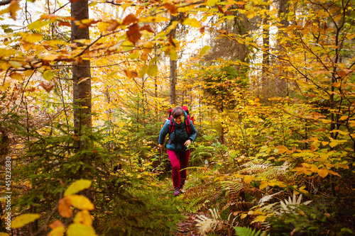 The woman hiker enjoys traveling in autumn forest