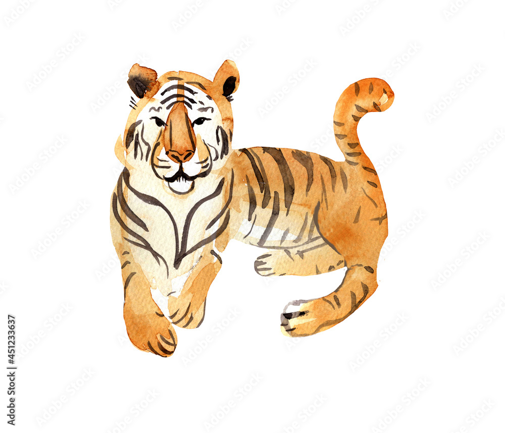 Obraz premium Watercolor illustration, orange tiger, animal art, isolated illustration on a white background, ideal for postcards,clipart, Christmas design, a symbol of the new year
