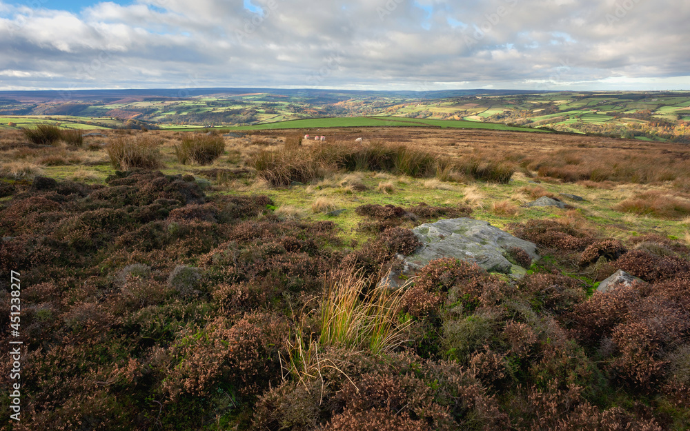 North York Moors with heather and cotton grass in autumn. Grosmont, UK.