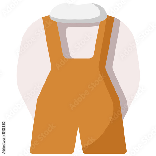 overall flat icon