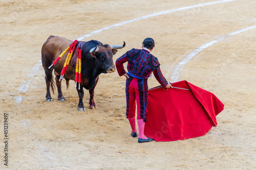 Brave bullfighter and bull of sandy arena photo