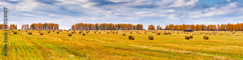Picturesque autumn landscape with beveled field and straw bales in cloudy day. Beautiful agriculture background, wonderful nature, rustic life concept. Panoramic view, banner, wide format