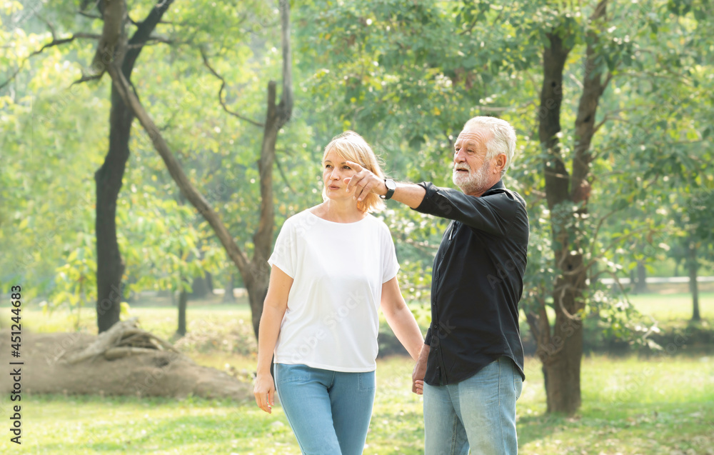 Senior couple relaxing on sunny day outdoors in the health park. Mature couple hand in hand walking in the park. Caucasian elderly couple in the park. Old couple relax lifestyle concept. Senior couple relaxing on sunny day outdoors in the health park. Mature couple hand in hand walking in the park. Caucasian elderly couple in the park. Old couple relax lifestyle concept.