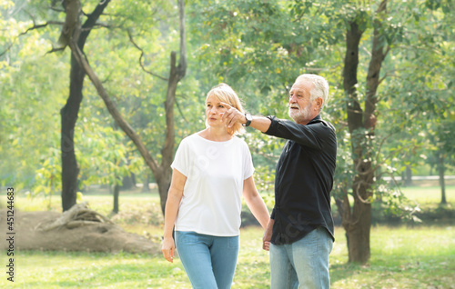 Senior couple relaxing on sunny day outdoors in the health park. Mature couple hand in hand walking in the park. Caucasian elderly couple in the park. Old couple relax lifestyle concept. 