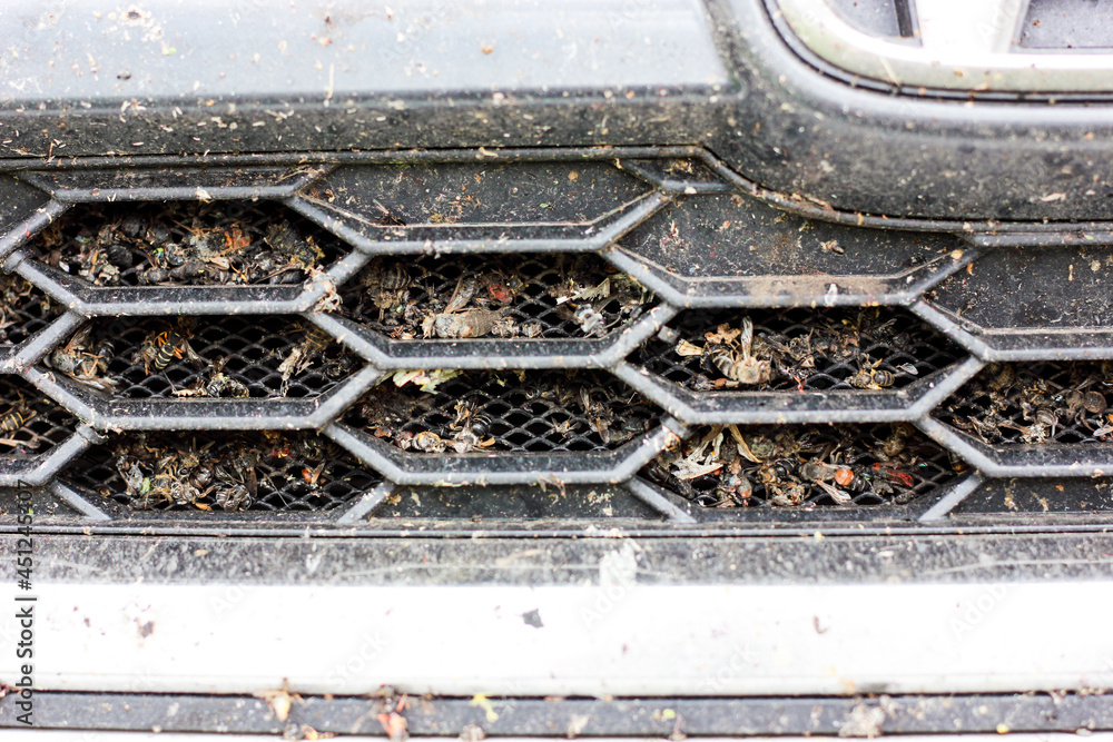 various insects on the car radiator grill, photo close