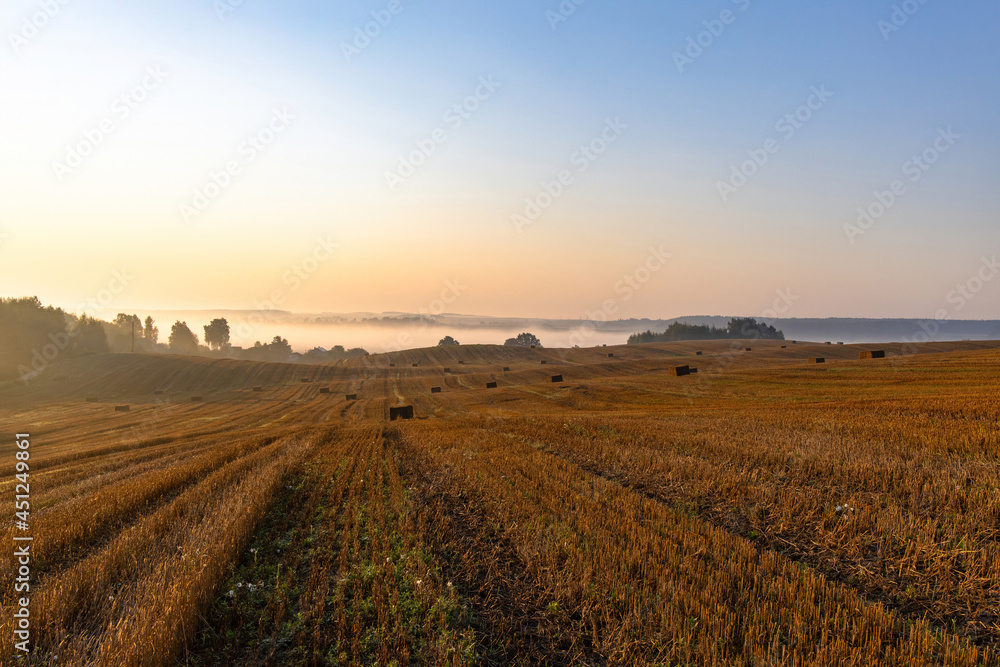 Landscape of a large mown agricultural wheat field with bales of straw lying on the ground at sunrise. Morning misty countryside landscape Landscape of a large mown agricultural wheat field with bales of straw lying on the ground at sunrise. Morning misty countryside landscape
