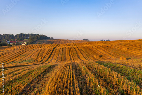 Large mown agricultural wheat field with bales of straw on the ground at sunrise. Village houses stand at the edge of the field.