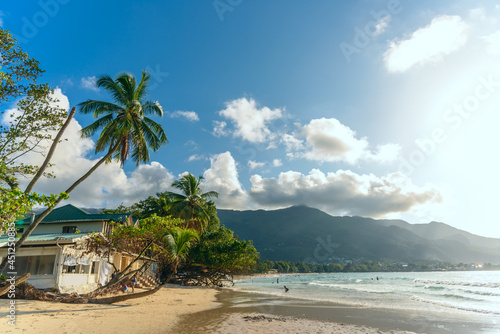 Beautiful tropical coast with high palm trees and golden sand. Seychelles  Mahe island  Beau Vallon beach