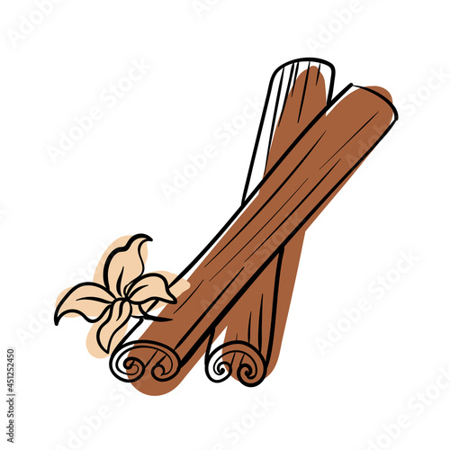 Cinnamon sticks and vanilla flower. Seasonings. Vector illustration isolated on white background.