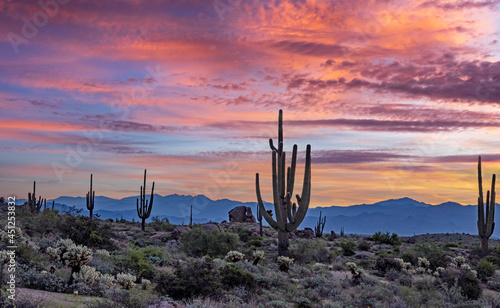 Desert Sunrise Landscape In North Scottsdale Arizona © Ray Redstone