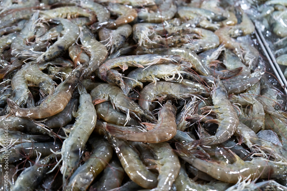 Many fresh raw shrimps close up, heap of prawns on seafood market, tropical marine crustaceans, gourmet healthy food, sea or ocean animal, shrimp pattern, prawn texture
