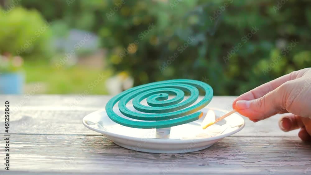 Female hand lights green mosquito coil on backyard in summer garden, repellent spiral smokes outdoors on plate on table Female hand lights green mosquito coil on backyard in summer garden, repellent spiral smokes outdoors on plate on table