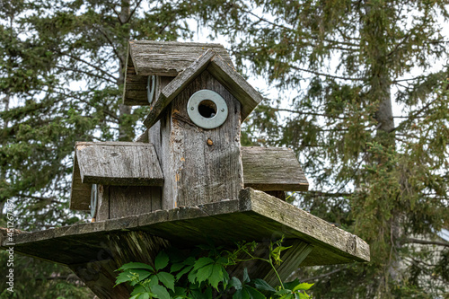 Old rustic wooden bird house