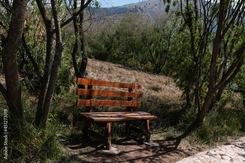 wooden bench in the park