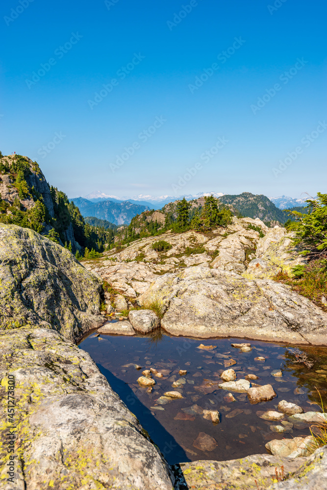 Fragment of Mount Seymour trail in Vancouver, Canada.