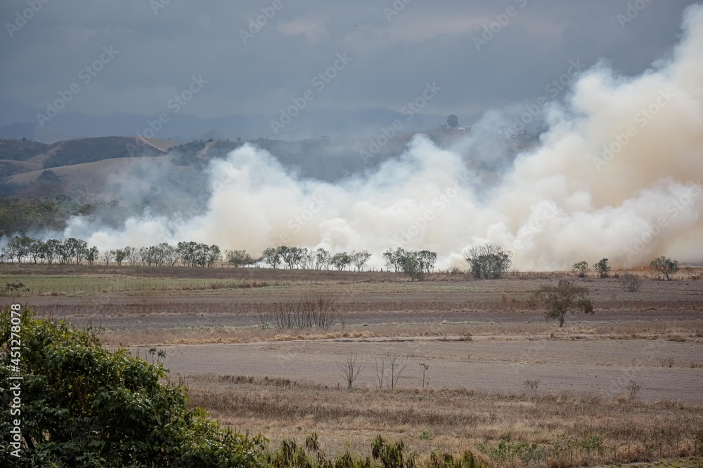 Fototapeta premium A large fire destroys vegetation in the area of a farm. 