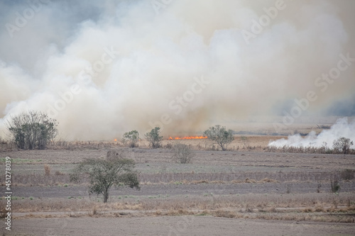 A large fire destroys vegetation in the area of a farm. 