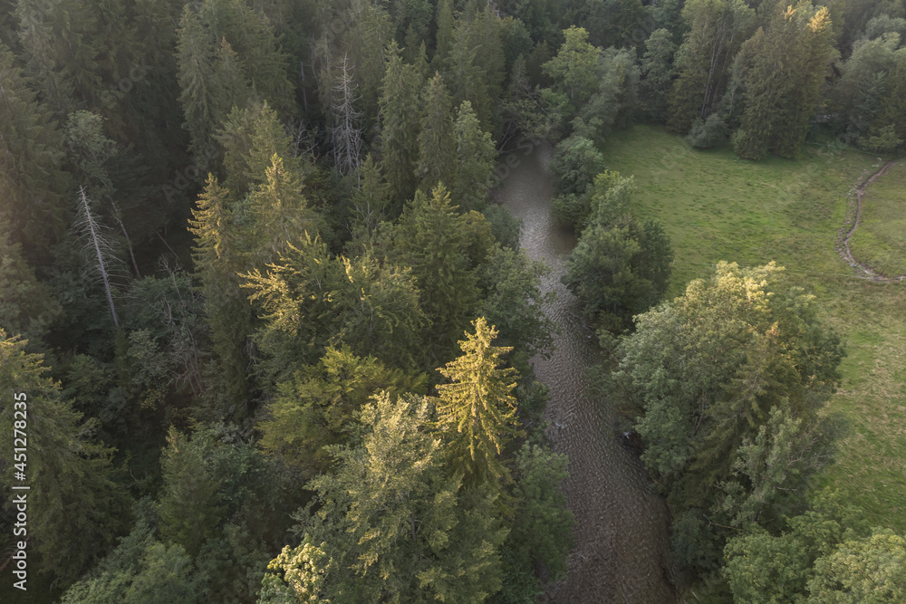 Fichtenwald von oben mit Manfgfall, Mangfalltal Fichtenwald von oben mit Manfgfall, Mangfalltal