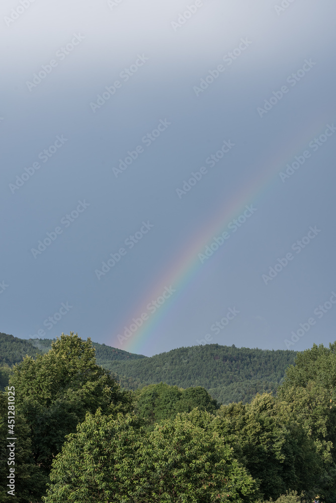 Regenbogen über Hügeln und Bäumen