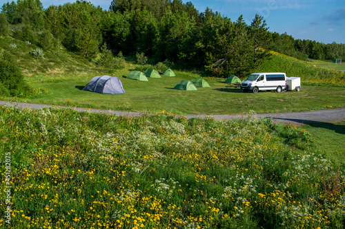 Zeltcamp auf Island. Die Zelte stehen auf einer frisch gemähten Wiese. Am Rande blüht Löwenzahn, Taraxacum und Schafgarbe Achillea millefolium.