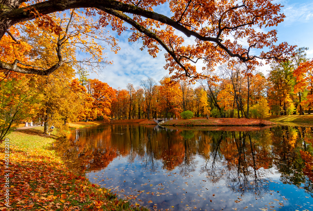 Autumn foliage in Alexander park, Tsarskoe Selo (Pushkin), St. Petersburg, Russia