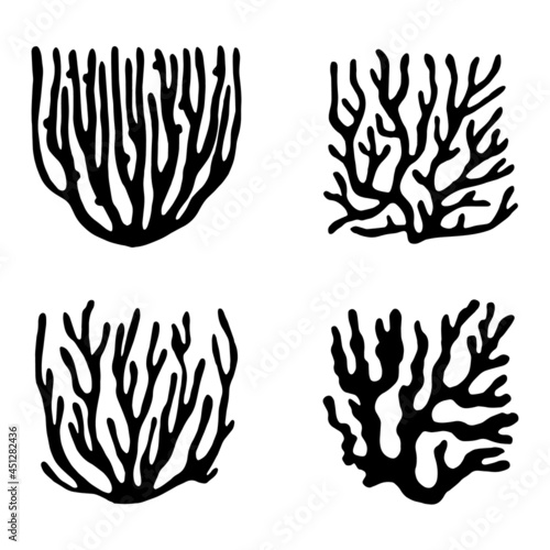 seaweed green. healthy food. biogenetics