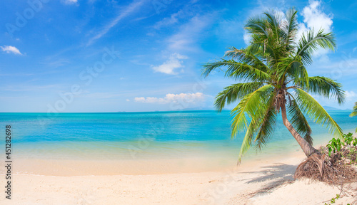 beach and coconut palm tree © Alexander Ozerov