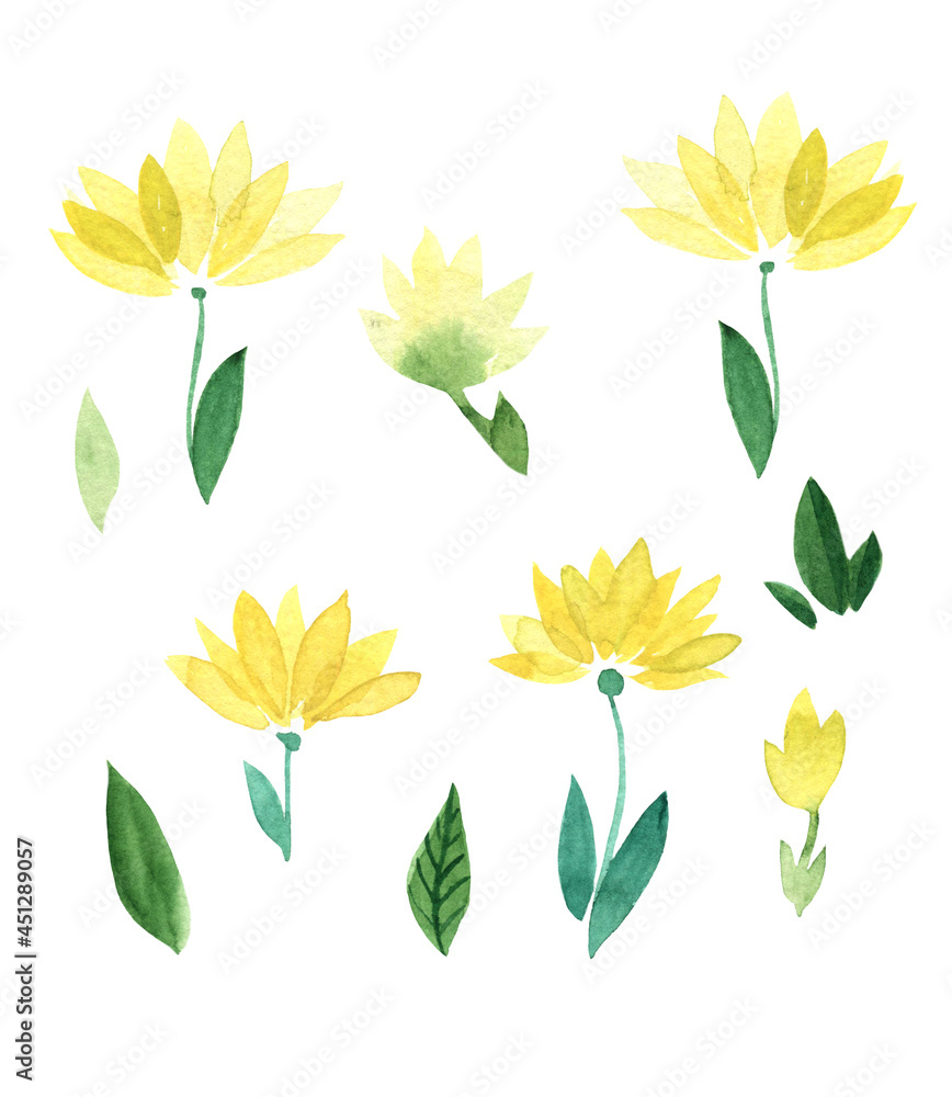 watercolor illustration, set of yellow tulips and various green leaves, botanical illustration, isolated on a white background, eucalyptus leaf, for clipart watercolor illustration, set of yellow tulips and various green leaves, botanical illustration, isolated on a white background, eucalyptus leaf, for clipart