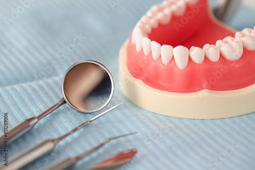 Photos Dental artificial jaw and dental instrument on table closeup