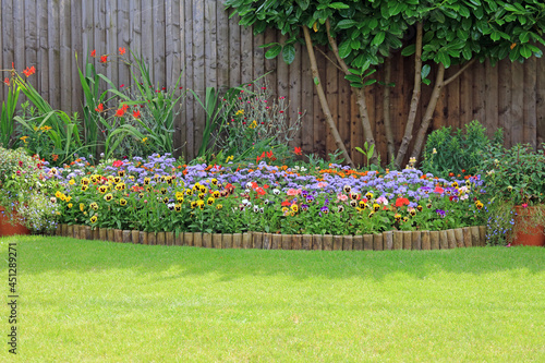 Fototapeta Naklejka Na Ścianę i Meble -  flowers in a garden