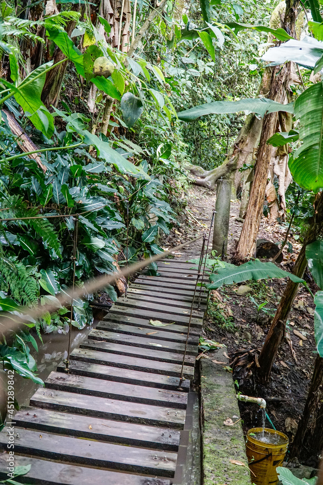 La mesa, Cundinamarca; August 15 2021: Amazing view of the natural park Macadamia Bosque Aventura in La Mesa, Cundinamarca, an old town in Colombia where people enjoy adventure games La mesa, Cundinamarca; August 15 2021: Amazing view of the natural park Macadamia Bosque Aventura in La Mesa, Cundinamarca, an old town in Colombia where people enjoy adventure games