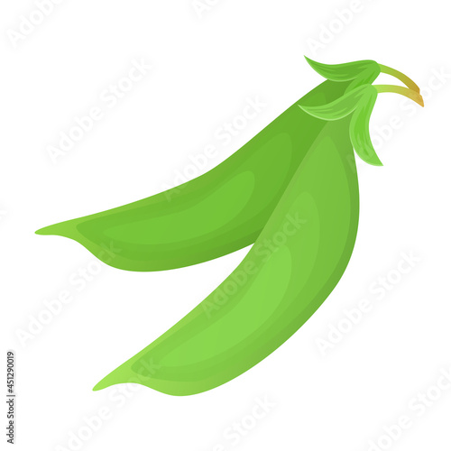 Green peas clip art. Illustration on white background