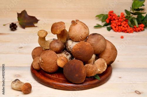 harvest porcini mushrooms on a wooden board