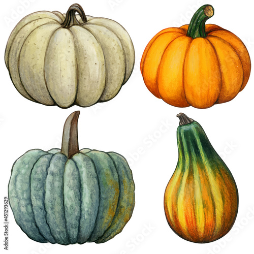 Watercolor hand drawn fall pumpkin composition