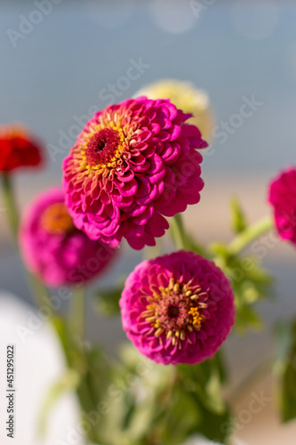 Pink zinnia flower in a bouquet. 