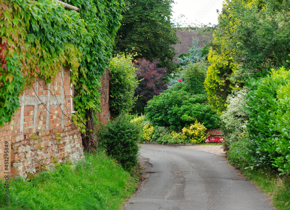 alley in the park