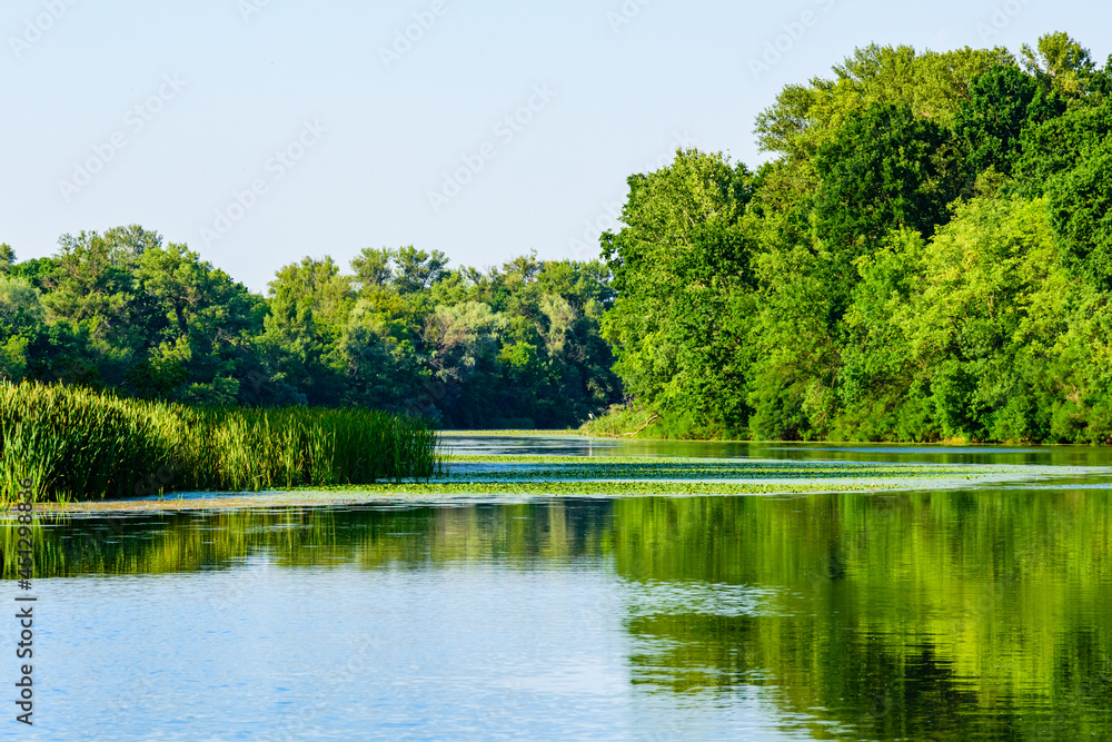 Summer landscape with the green trees and river Summer landscape with the green trees and river