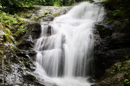 Fototapeta Naklejka Na Ścianę i Meble -  pisgah waterfall