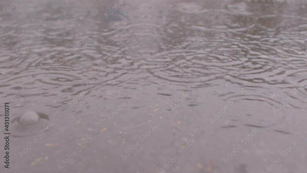 Raindrops fall on a puddle in the city on the asphalt. Natural precipitation. The movement of water in circles from drops. Raindrops fall on a puddle in the city on the asphalt. Natural precipitation. The movement of water in circles from drops.