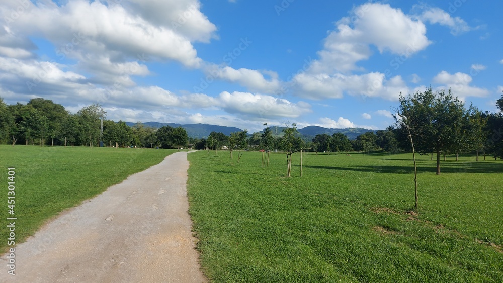 Obraz premium path in the field