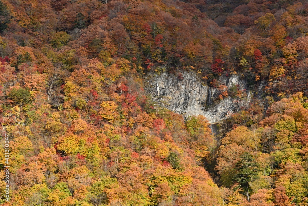 waterfall of heart shape in autumn