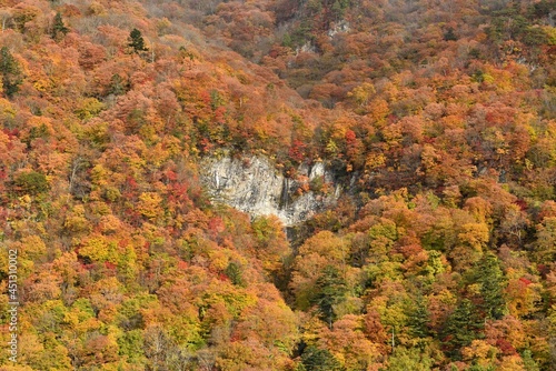 waterfall of heart shape in autumn