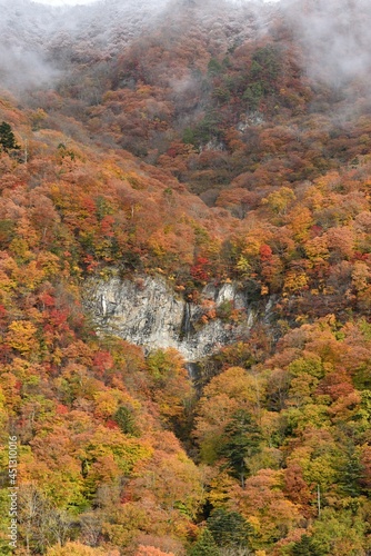 waterfall of heart shape in autumn © Tonic Ray Sonic