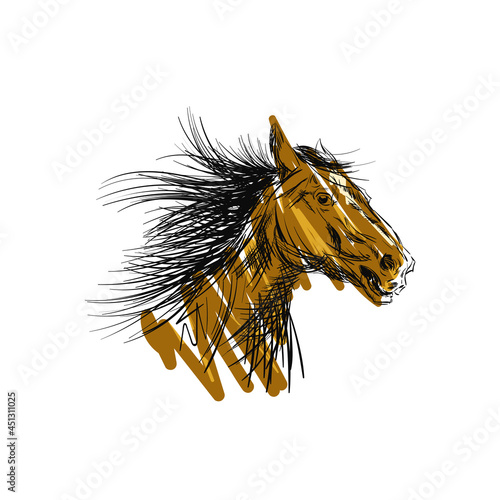 Drawing head Horse in running. Art sketch for design. Vector